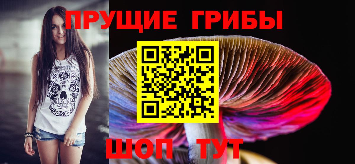 Псилоцибиновые грибы мухоморы  наркотики  Кириши  Галлюциногенные грибы прущие грибы  Вход с VPN 